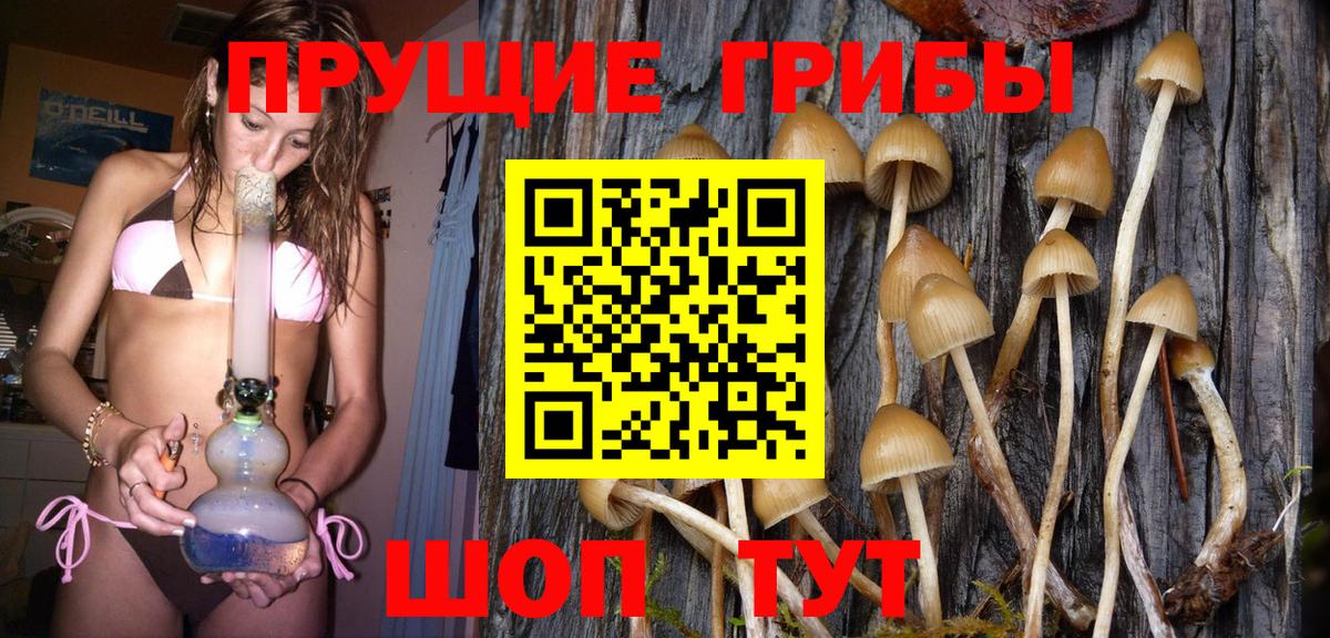 Псилоцибиновые грибы ЛСД  Вход с VPN  Уварово  Галлюциногенные грибы MAGIC MUSHROOMS 